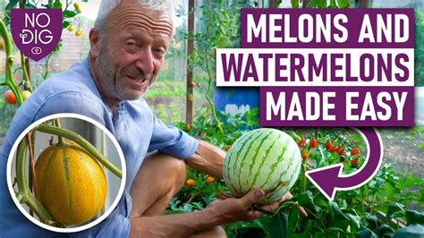 melons porn tube|big